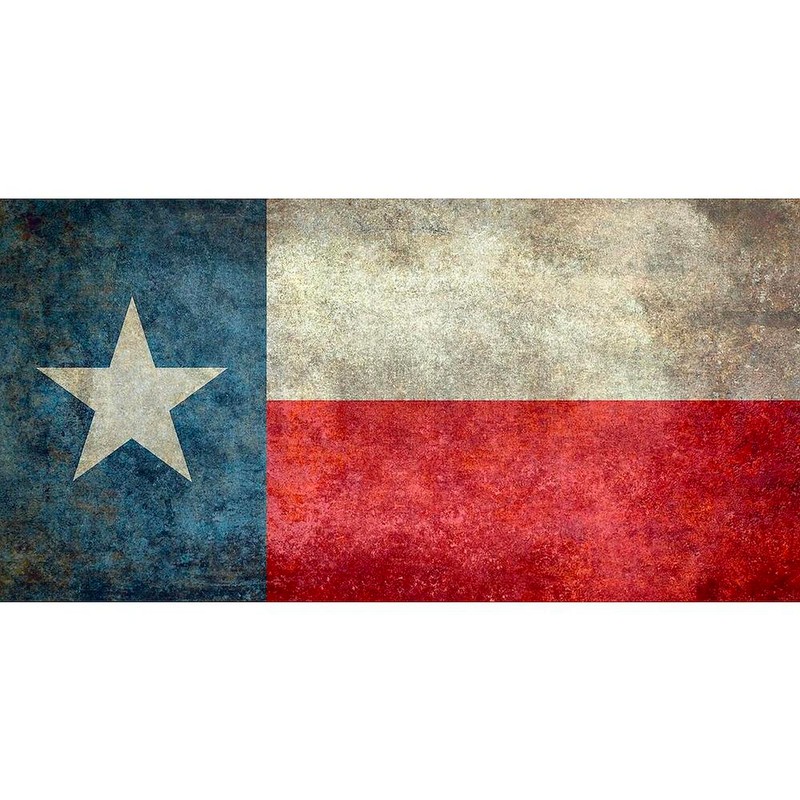 CafePress Texas State Flag Vintage Re Aluminum License Plate, Front