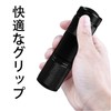 Black Light, UV Light, LED Flashlight, Ultraviolet 395nm, Aluminum Alloy