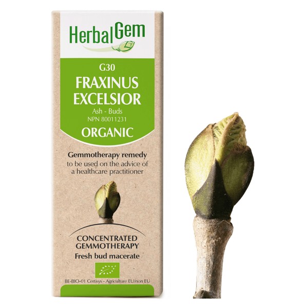 HerbalGem Gemmotherapy G30 Fraxinus excelsior 50 ml