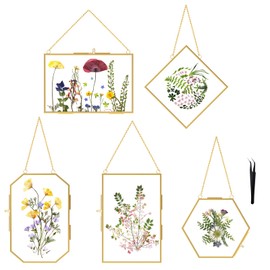FOCHIER F 5 Pcs Pressed Flower Frames with Tweezers, Wall Hanging Tabletop Display Double Glass Frames with Metal Chain for Pressed Dried Flowers Plants, Horizontal and Vertical Picture Frame, Golden
