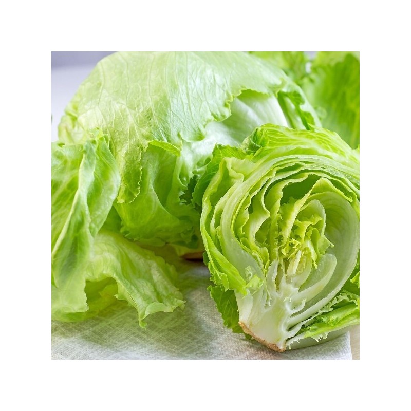국내산 양상추 10개 4kg 내외 Domestic Lettuce 10 pieces, approximately