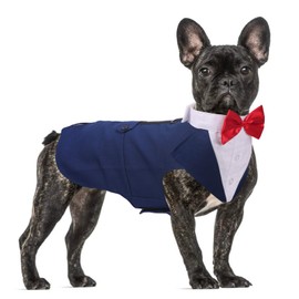 Dog Formal Tuxedo Suit for Medium Large Dogs，Dog Tuxedo Costume Wedding Party Outfit with Detachable Collar，Elegant Dog Apparel Bowtie Shirt and Bandana Set for Dress-up Cosplay Holiday Wear