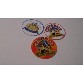 Unbranded Pre Cut One Inch Bottle CHIP N DALE Free Shipping - photo, 25 images