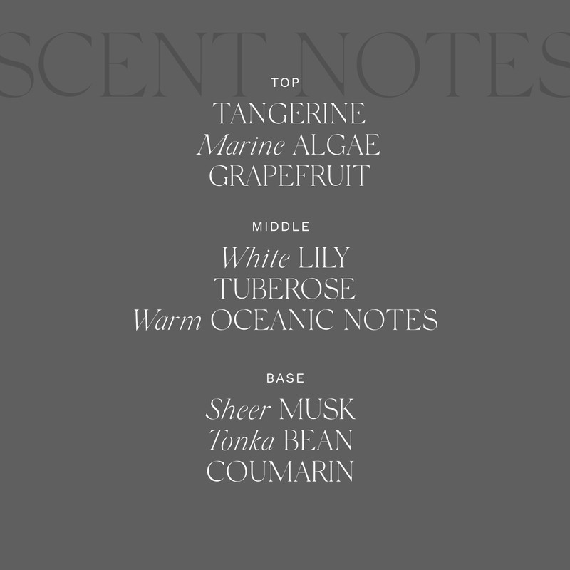 Antica Farmacista Body Moisturizer - Scented Moisturizing Lotion with Aloe