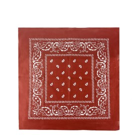 JOPHY & CO. 100% Cotton Bandanas for Women Men Children Unisex with Paisley Pattern Headwear Scarf for Hair/Neck/Wrist/Head COD.644, burgundy paisley