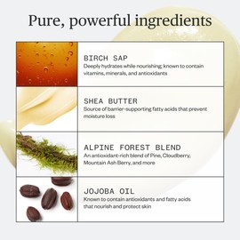 Ursa Major Botanic Buzz Hand Cream | Natural Hand Lotion | Lightweight, Non-Greasy Moisturizer | Moisturizes, Hydrates and Nourishes Skin | Vegan, Cruelty-Free & Non-Toxic | 2oz