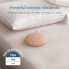 ANJANK Loud Alarm Clock with Wireless Bed Shaker, Vibrating Dual