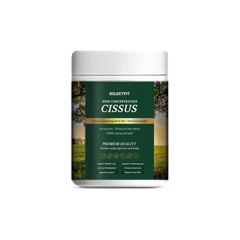 BUYER Select Fit 1+1 Cissus powder 50 times 300g concentrated