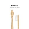 Sea Turtle Plant-Based Bristles, Bamboo Toothbrushes, Soft Natural Toothbrush for