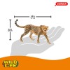 Schleich Cheetah Female Realistic Wildlife Toy Figurine for Kids Ages