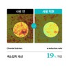 Shard Melacare Peel Cream Mask + Brush + Snow Ampoule