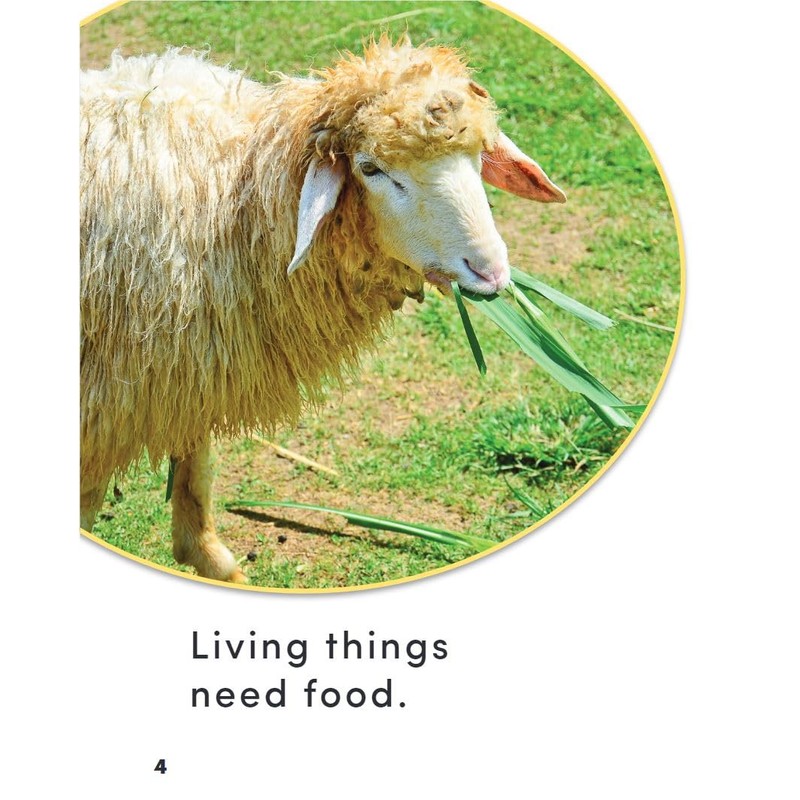 What Do Living Things Need?
