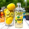 Calypso Lemonade, Original Lemonade, Made with Real Fruit, 16 Fl