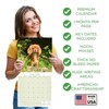 2025 2026 Cavalier King Charles Calendar - Dog Breed Monthly