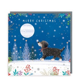 Tracks Publishing Charity Christmas Cards Pack of 5 - Charity Christmas Cards 2024 with a Festive Dog and Moon Design - Eco-Friendly Xmas Cards Multipack with Envelopes