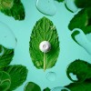 Flintts Mouth Watering Mints - Mint - F-Strength 200 -