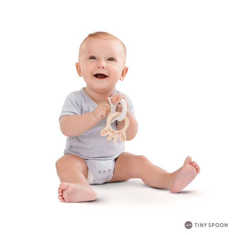 Sophie de Giraf 3056562202007 Teether Multi