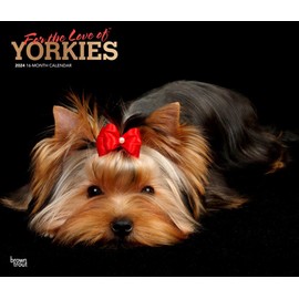 For the Love of Yorkshire Terriers | 2024 14 x 24 Inch Monthly Deluxe Wall Calendar | Foil Stamped Cover | BrownTrout | Animal Small Dog Breeds