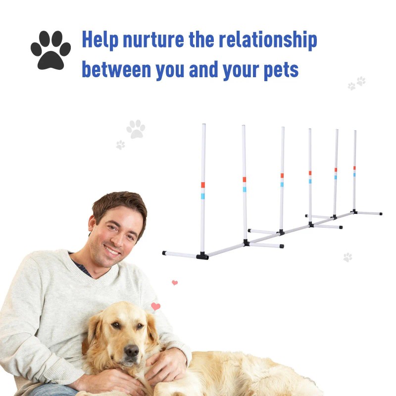 Sturdy Dog Weaves Poles Outdoor Pet Speed and Agility Equipment