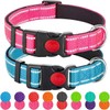중형 소형 있는 버클이 품종 달린 네오프렌 핑크 방출 나일론