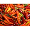 CEMEHA SEEDS - Seeds Indoor Ornamental Hot Pepper Mix Non