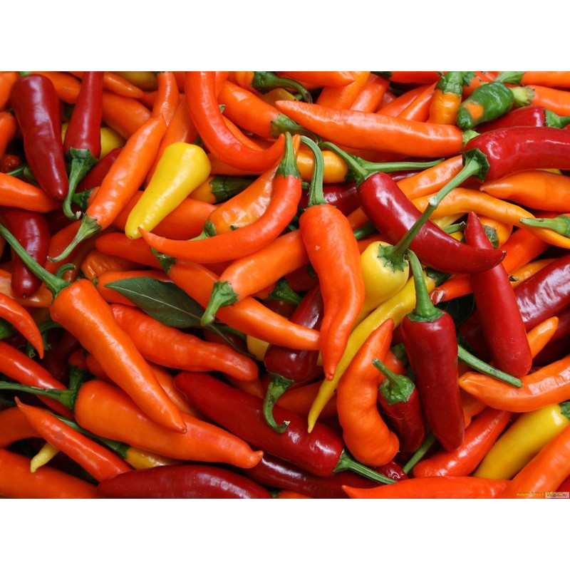 CEMEHA SEEDS - Seeds Indoor Ornamental Hot Pepper Mix Non