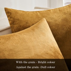 MIULEE Champagne Gold Luxurious Velvet Cushion Covers Soft Decorative Square Throw Pillow Case Pillowcases for Livingroom Sofa Bedroom with Invisible Zipper 16"x16" 40cm x 40cm 2 Pieces