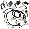Caltric Wire Harness /Starter/ Ignition Key Switch, Coil Yamaha Warrior