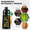 🔥 Shampoo para canas 500ml natural jengibre tinte cubre canas