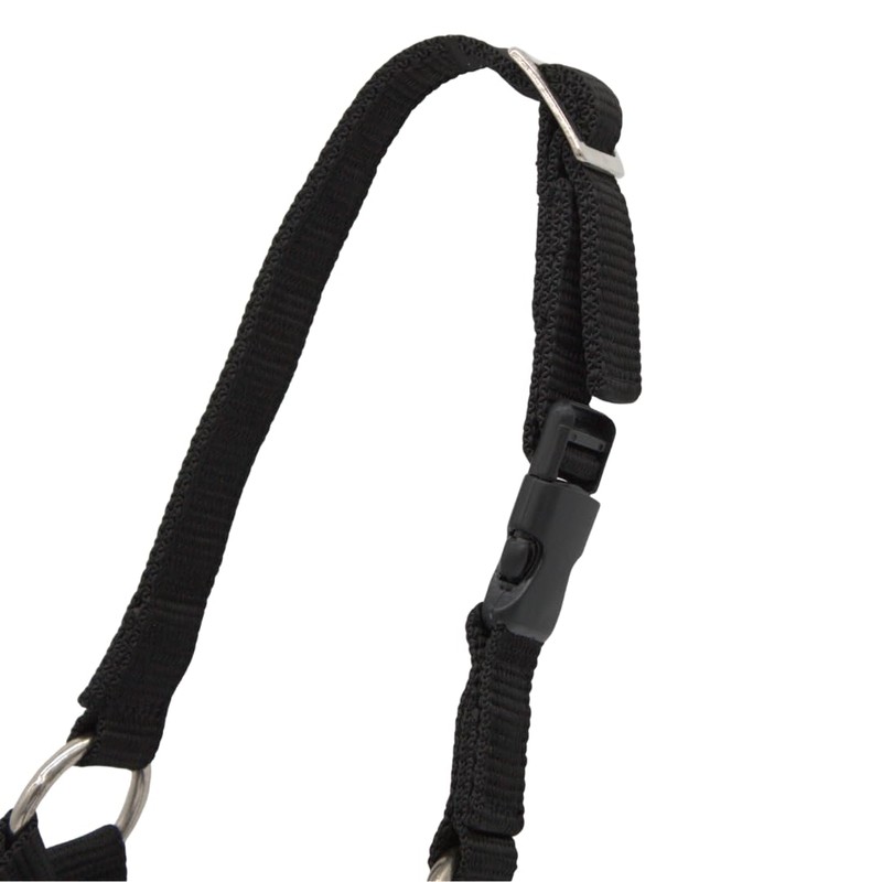 PFIFF 103101 Alpaca Halter "Pako", Adjustable Size for Alpacas, with