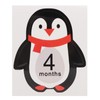 12pcs Newborn Baby Monthly Sticker for 1-12 Month Milestone Memories