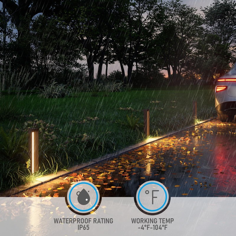 LEONLITE 5CCT Low Voltage Pathway Lights, 7W 12-24V LED Landscape