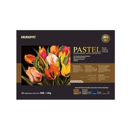 BC233 Professional Pastel Paper Pad A3 Size for Oil, Dry Pastel, Paper Pastel 20 Sheets (Dark Assorted)