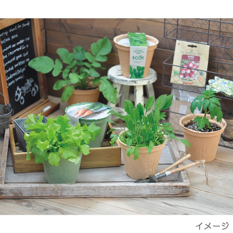 Ecot Planting Kit and Pot