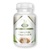 Complejo Vitamina B 90 Cápsulas 500 Mg Ya'ax Vida 100%