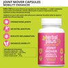 Herbal Paws Joint Mover Capsules for Dogs