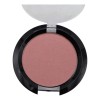 Rubor Profesional Bissú Tono Del Maquillaje 13 - Rosa Palo