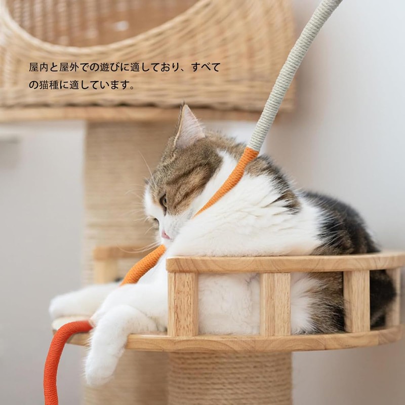 猫おもちゃ 3個セット 噛みロープ 遊び道具 歯磨き 一人遊び 耐久性が高い紐 運動不足解消 無毒で安全 歯固め棒