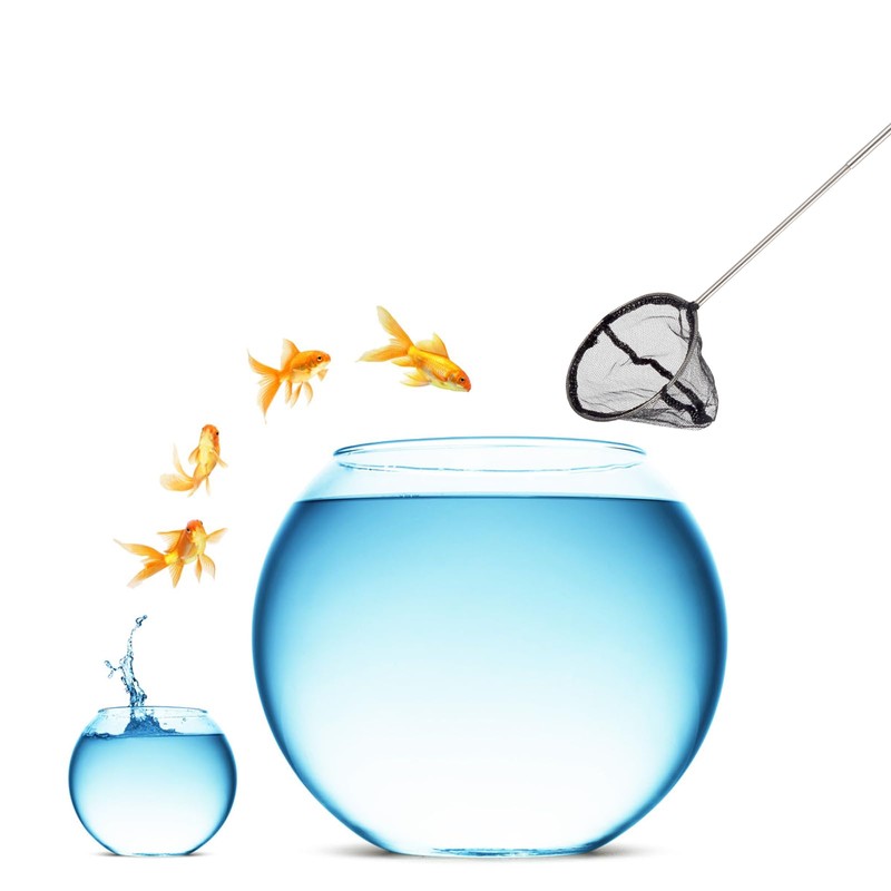 Square Fishing Net with Telescopic Handle, Stainless Pond Net, for