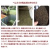 PON店 伊勢の和紅茶 ティーバッグ 30個入 チャック付き 袋入 紅茶 ギフト おしゃれ 紅ふうき