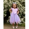 Miipat Toddler Girls Tulle Dress Flutter Sleeve Princess Party Dress