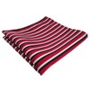 TigerTie Designer Pocket Square in Striped Pattern - Pocket Square