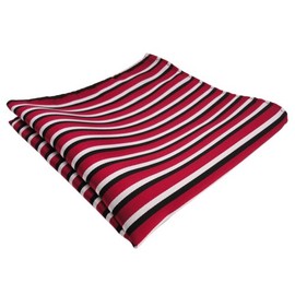 TigerTie Designer Pocket Square in Striped Pattern - Pocket Square Size 30 x 30 cm, Red, white, black