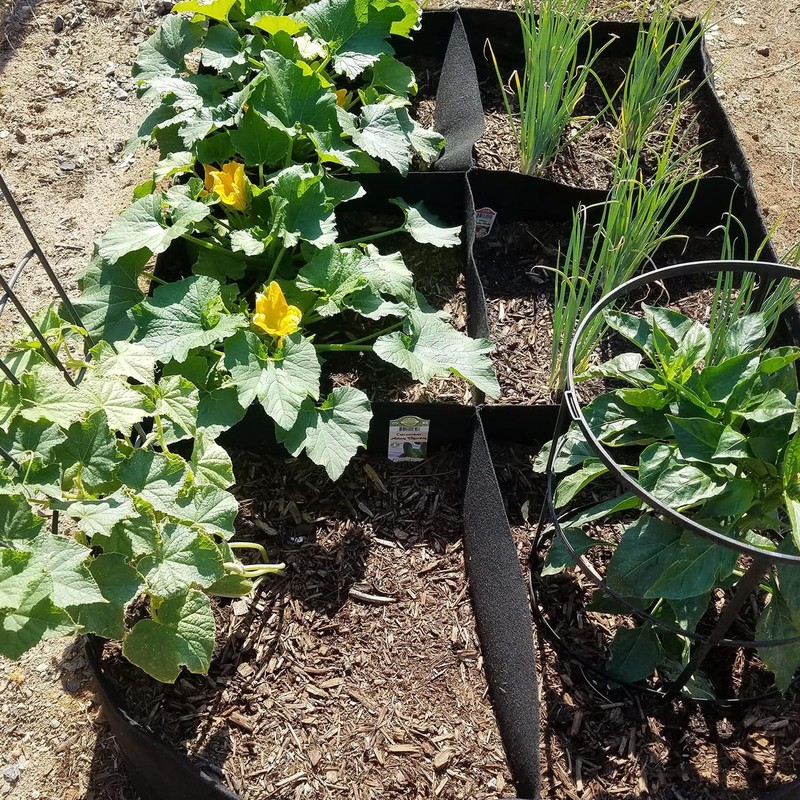TOOPONE Fabric Garden Bed, 3 x 6 Feet, 8 Grid