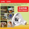 Aiicioo UVB Reptile Light 160W - UVB Light Bulb for