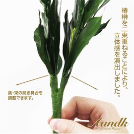 A&K Premium Sakaki Preserved (SS Size / Pair / Approx. Height 9.1 x Width 3.9 inches (23 cm) x Width 3.9 inches (10 cm) Made in Tamba, Made of Premium Camellia Leaves Use, Mini Size, Artificial Flowers, Mini