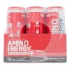 Amino Energy + Electrolitos 12 Pack 355ml C/u
