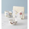 Lenox 890449 Butterfly Meadow Kitchen 3-Piece Mini Bowl Set