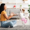 Pet Soft Dog Diapers Female, Disposable Female Dog Diaper, Doggie