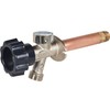 Prier Products 478-10 Frostproof Anti-Siphon Wall Hydrant 10-In.